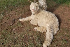 C'est l'heure de la sieste