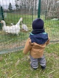 Les visites decouvertes